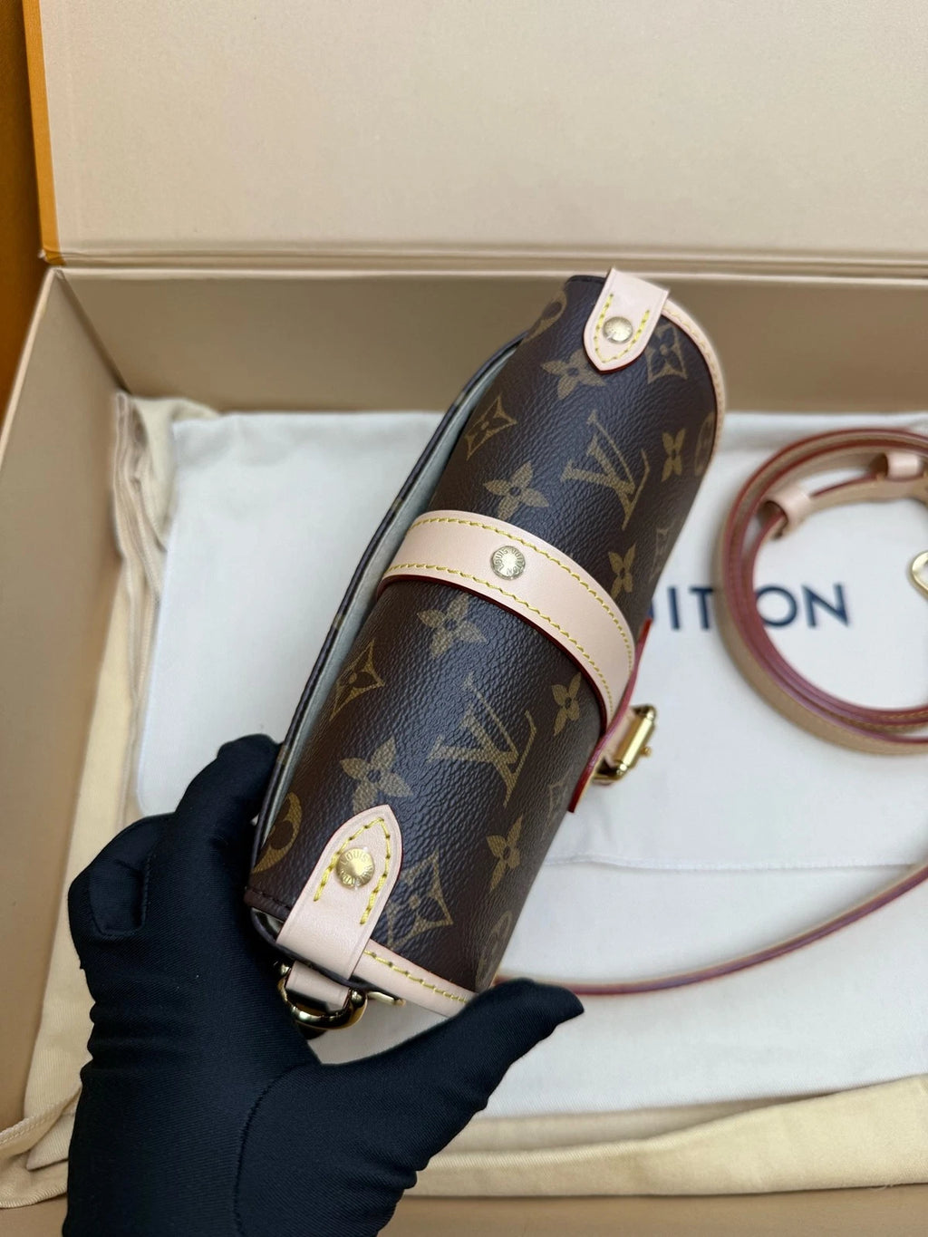 Louis Vuitton Canvas Twin Shoulder Bag For Women