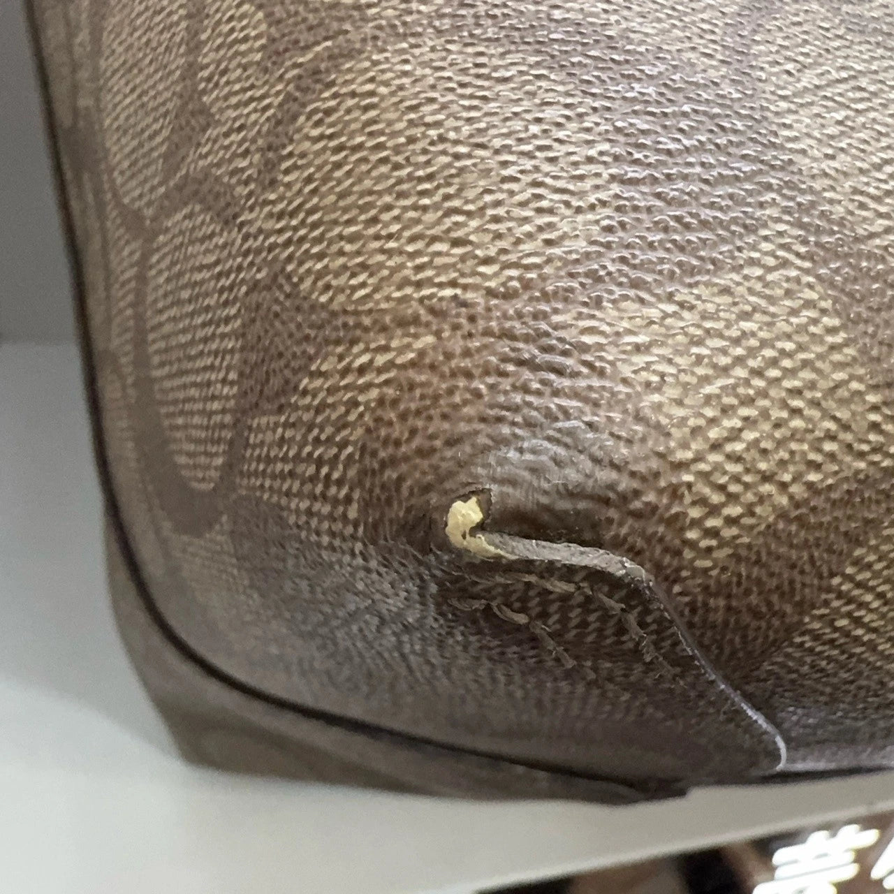 Coach Canvas Monogram Printed Detachable Tote Shoulder Bag For Women