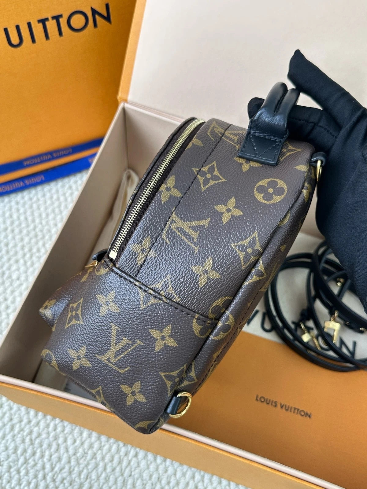 Louis Vuitton Monogram Canvas Mini Backpack For Women