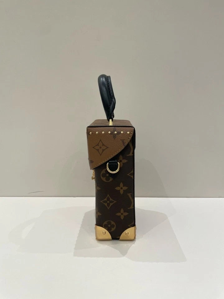 Louis Vuitton Brown Leather Camera Box Crossbody Bag For Women