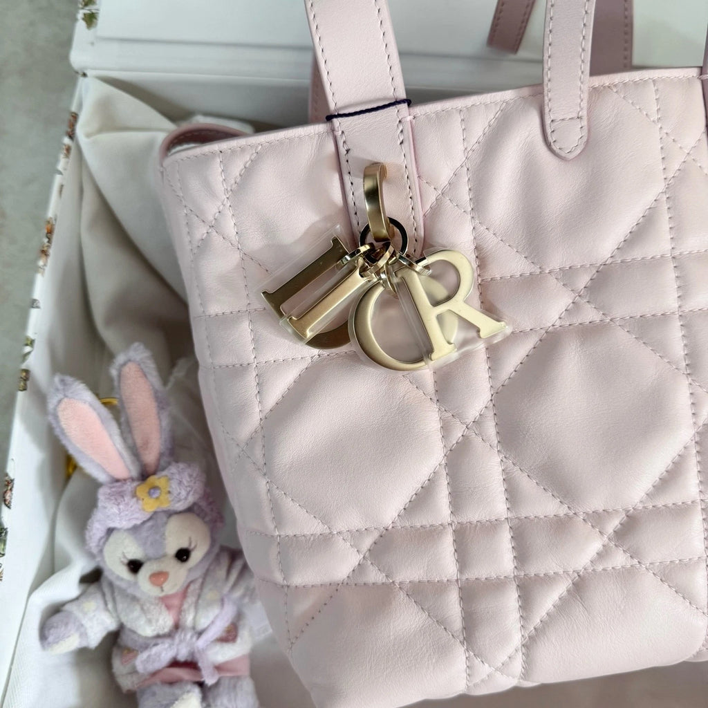 New Dior Toujours Vertical Small Sakura Pink Bag For Women