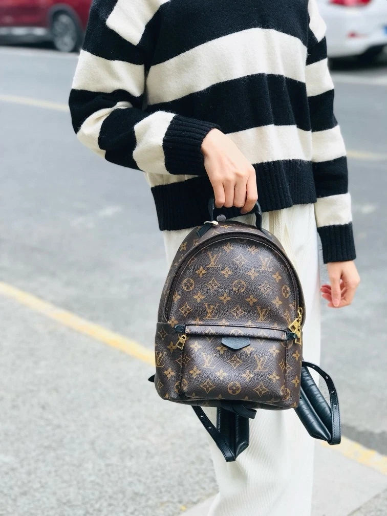 Louis Vuitton Canvas Monogram Palm Springs Small Backpack Women