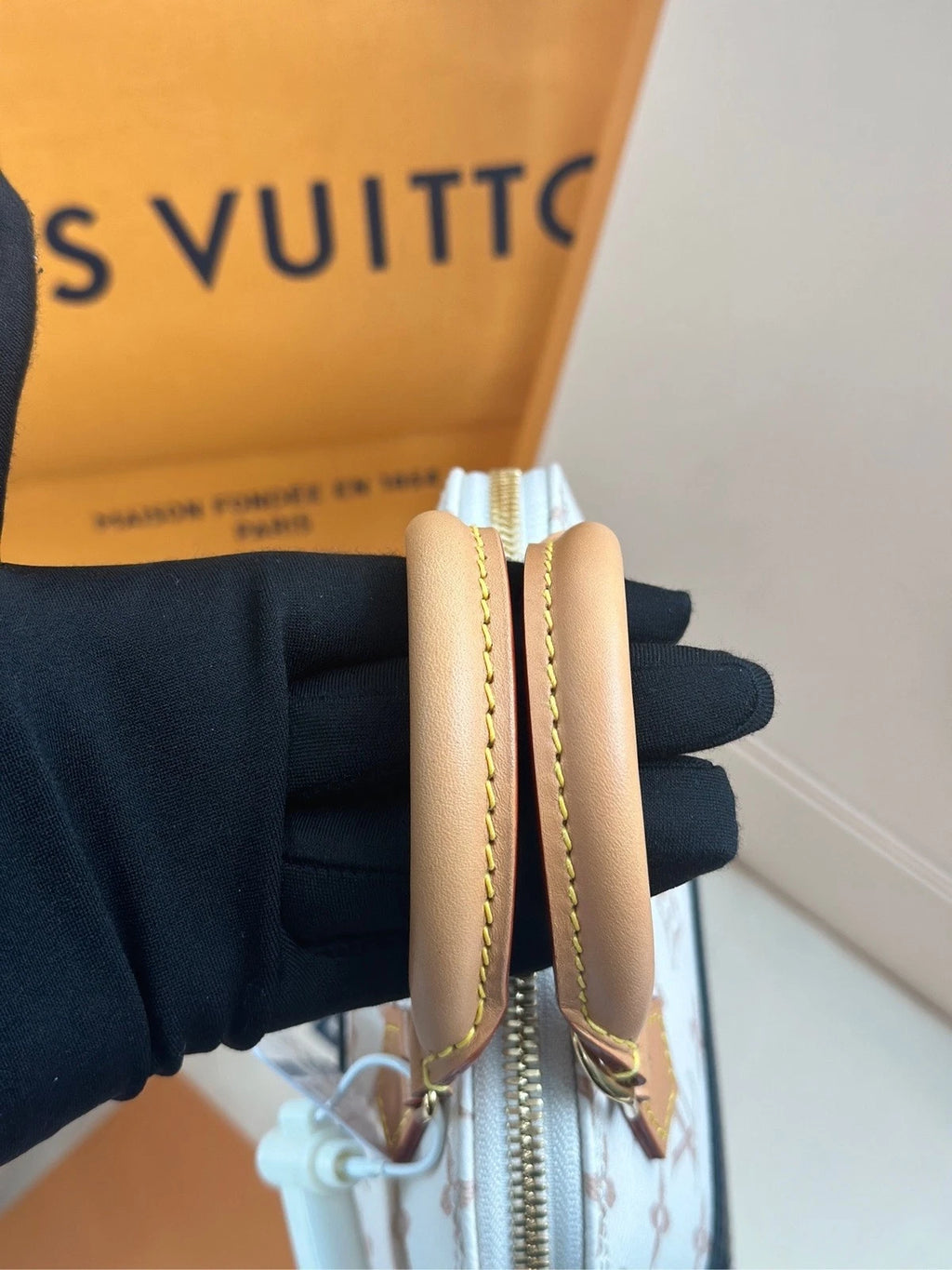 Louis Vuitton Dune Alma Nano Handbag Crossbody Bag Gold Hardware