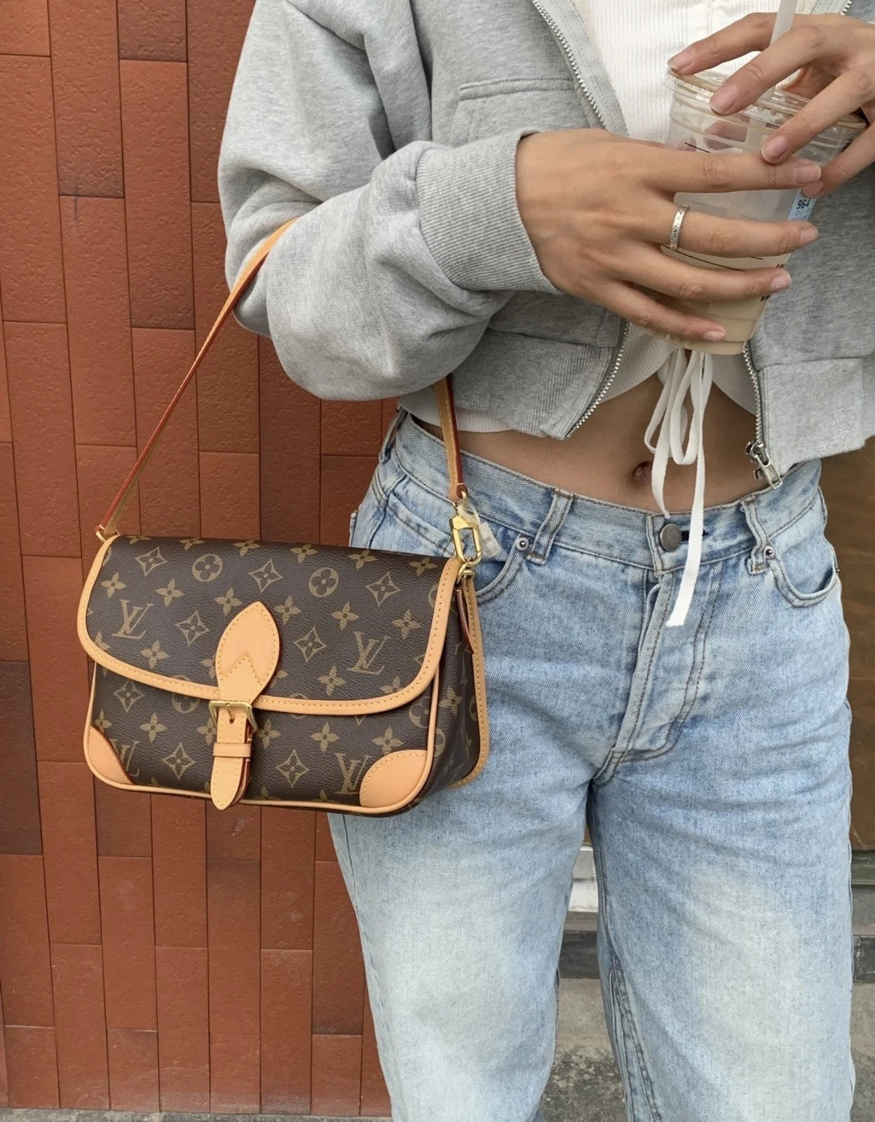 Louis Vuitton Diane Monogram Canvas Shoulder Bag Excellent