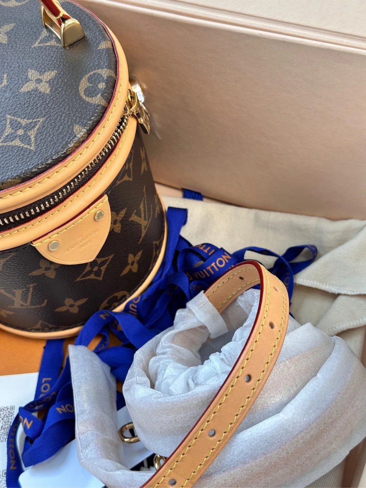 Louis Vuitton Cannes Monogram Canvas Mini Bucket Bag