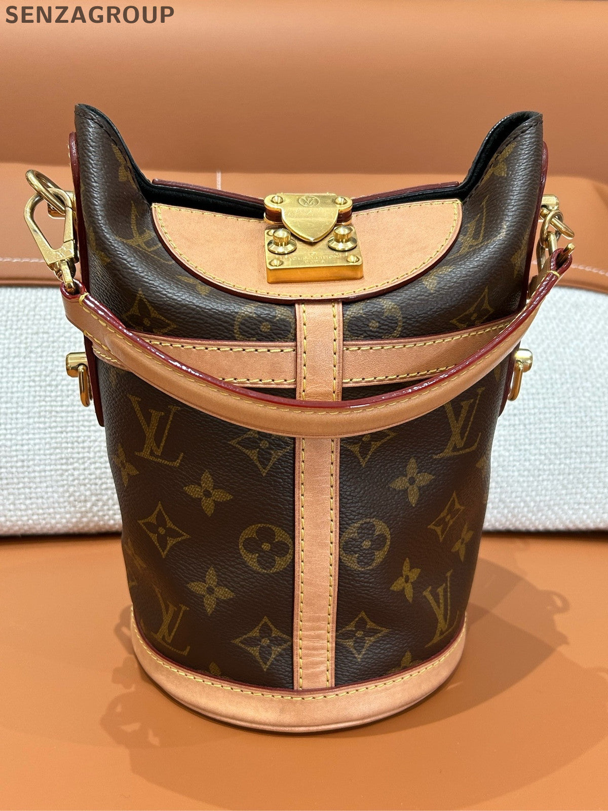 Louis Vuitton Monogram French Fries Bag Brown Handbag Crossbody Women