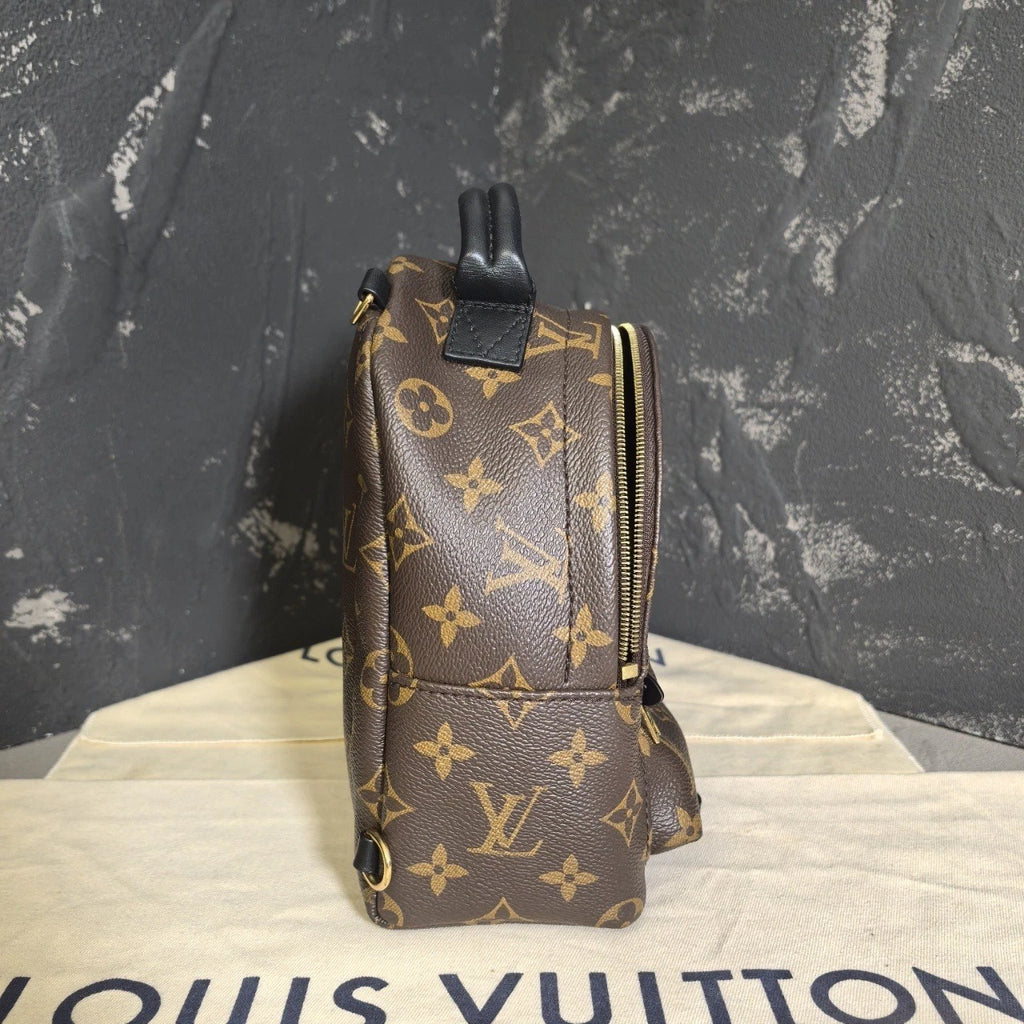 Louis Vuitton Canvas Mini Backpack for Women