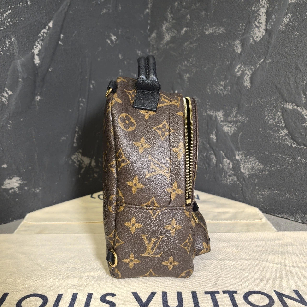 Louis Vuitton Canvas Mini Backpack for Women