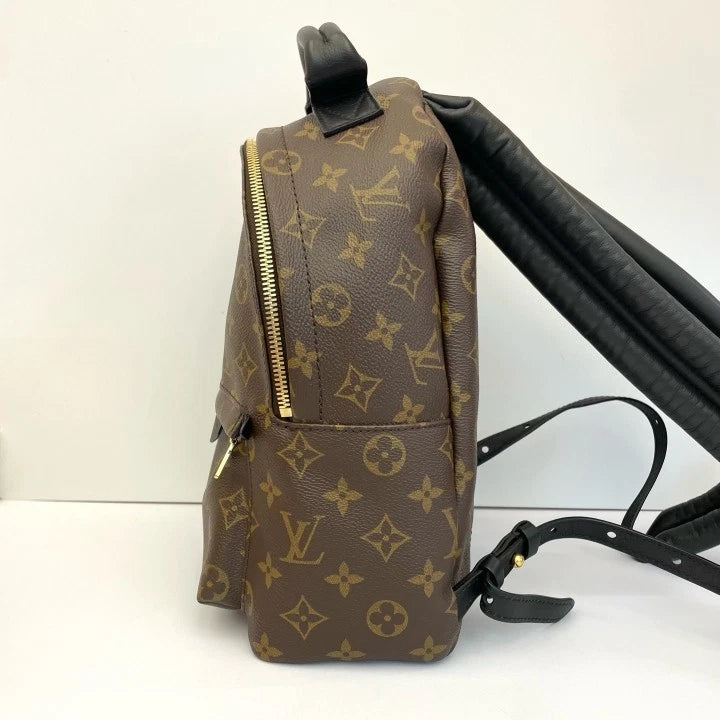 Louis Vuitton Canvas Monogram Palm Springs Small Backpack Women