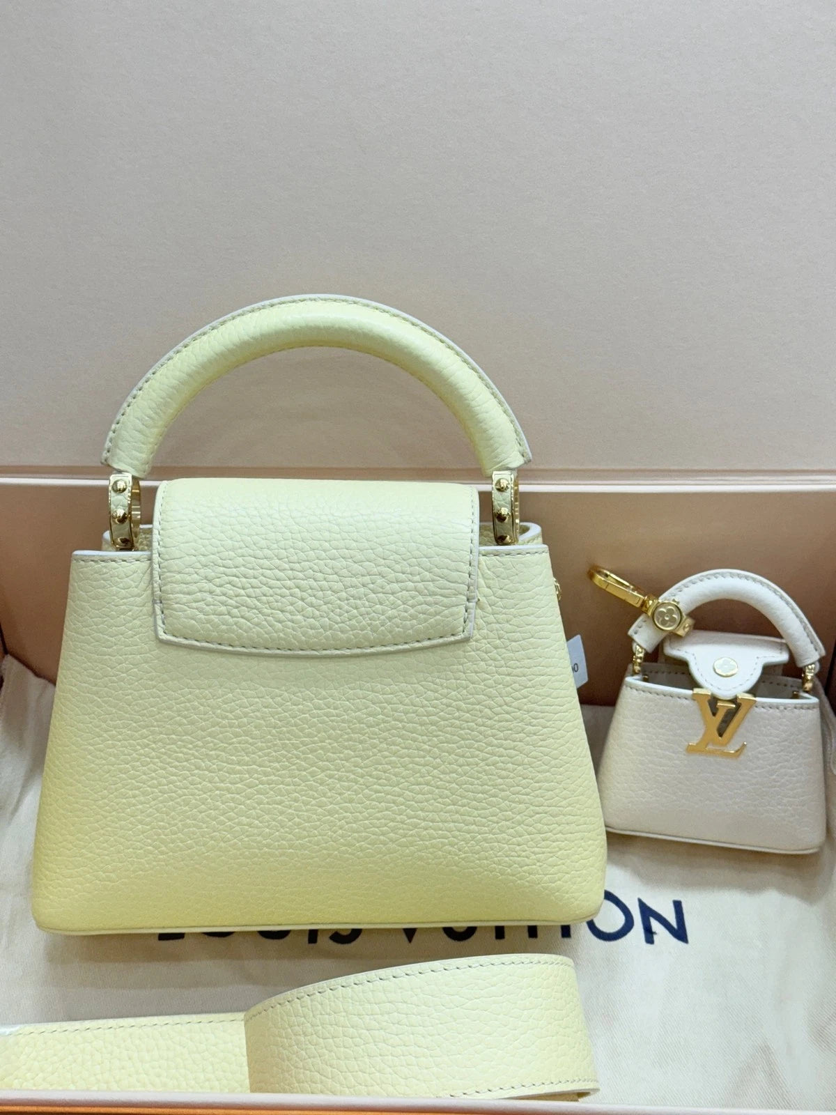 Louis Vuitton Yellow Mini Capucines 2-in-1 Calfskin Top Handle Bag For Women