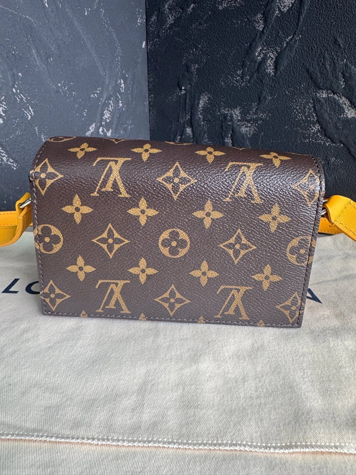 Louis Vuitton Monogram Canvas Steamer Crossbody Shoulder Bag Women