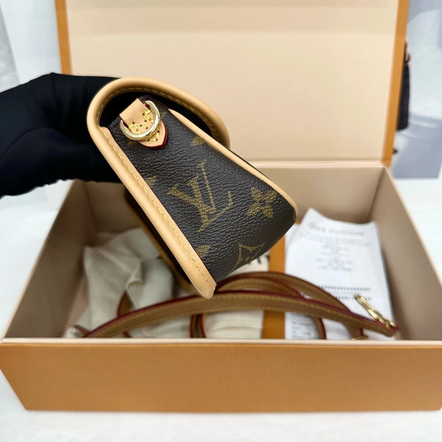 Louis Vuitton Monogram Canvas Diane Nano Shoulder Bag For Women