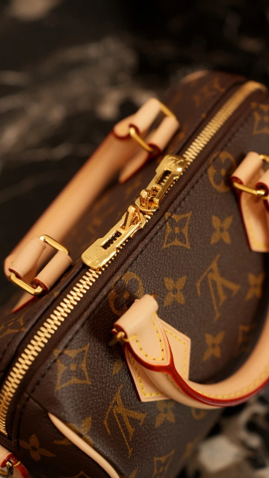 Louis Vuitton Speedy20 Monogram Canvas Excellent