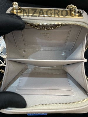 Chanel Grey Gold Hardware Trendy CC Camera Bag Chain Crossbody Women's Fashion