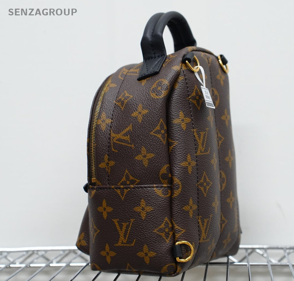 Louis Vuitton Palm Springs Backpack Shoulder bag Almost Brand NEW