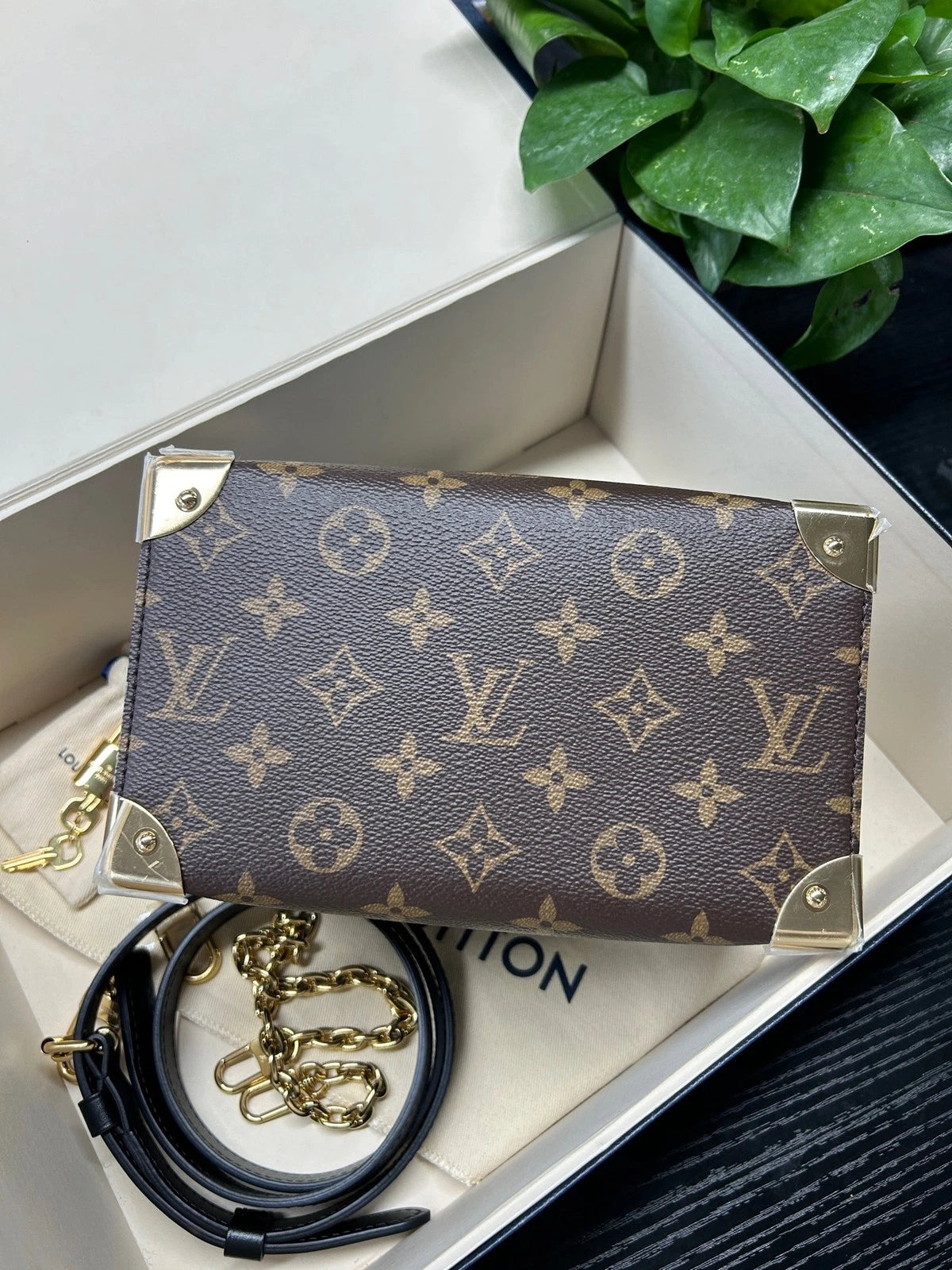 Louis Vuitton Speedy Trunk 20 Brown Canvas Handbag Crossbody Bag Excellent