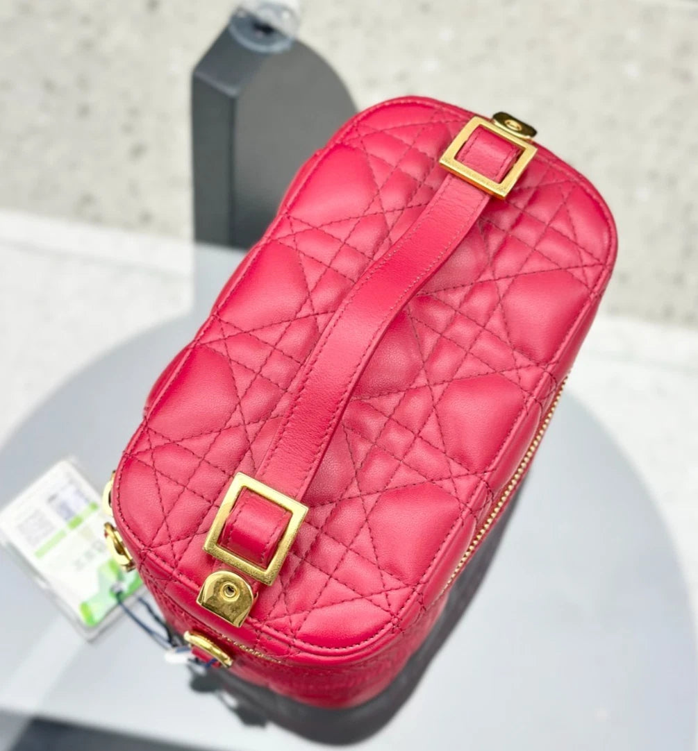 Dior Vanity Crossbody Top Handle Excellent