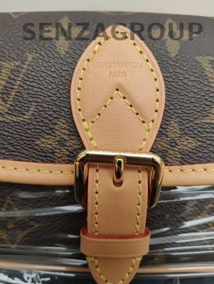 Louis Vuitton Nano Diane Monogram Shoulder Bag - Classic Women's Handbag