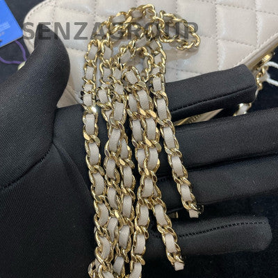 Chanel Grey Gold Hardware Trendy CC Camera Bag Chain Crossbody Women's Fashion