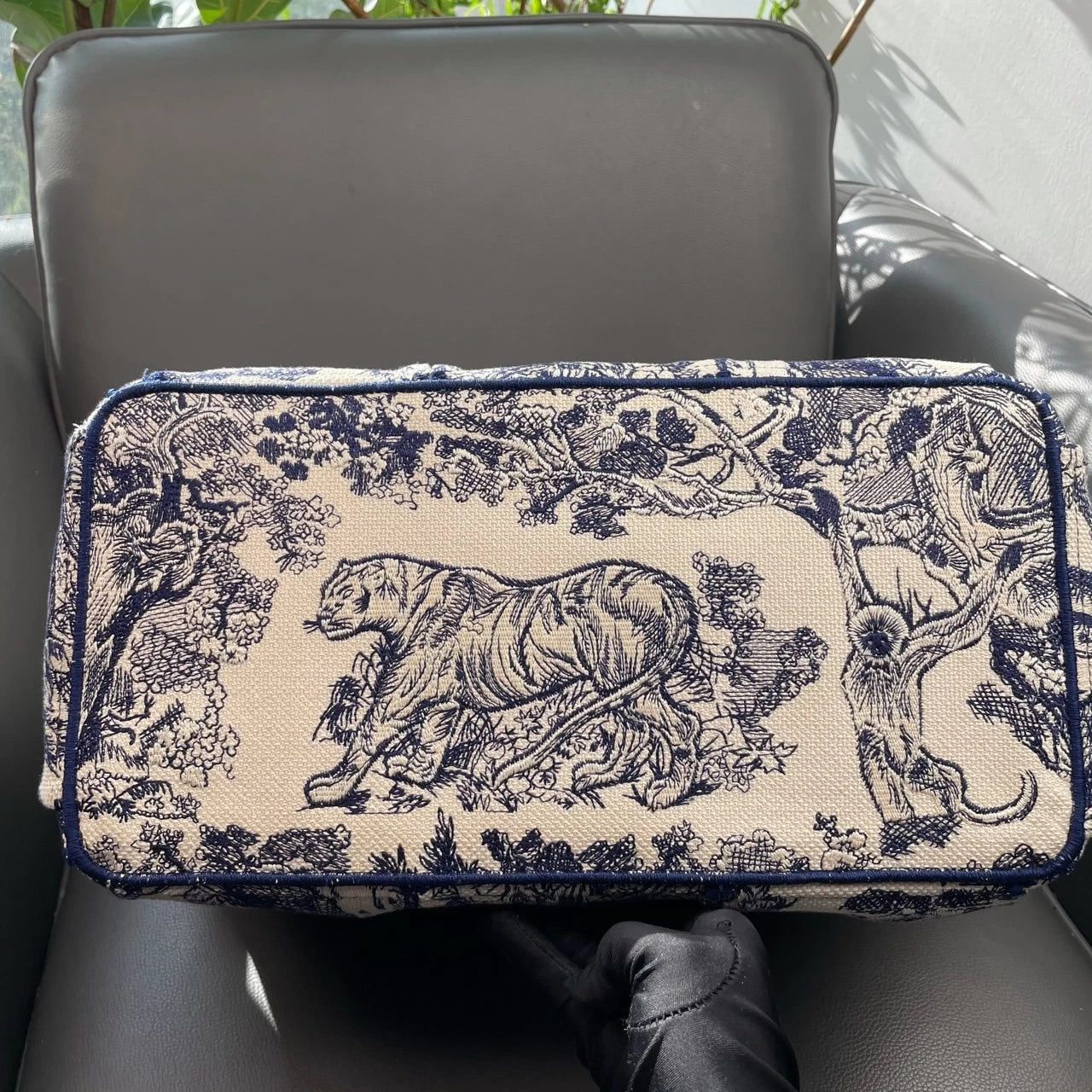Dior Large Book Tote Printed Canvas Tote Bag For Women