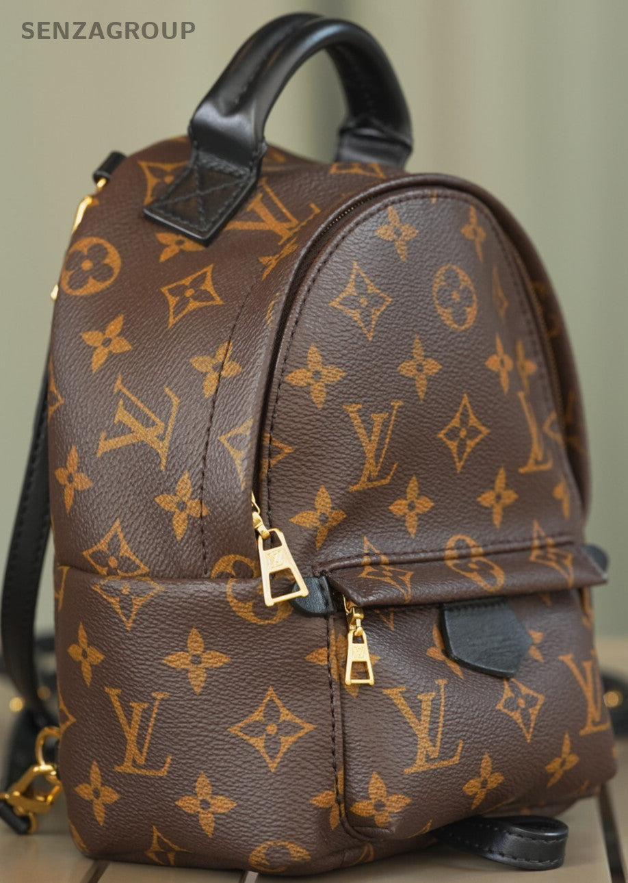 Louis Vuitton Palm Springs Backpack Mini  Canvas M44873