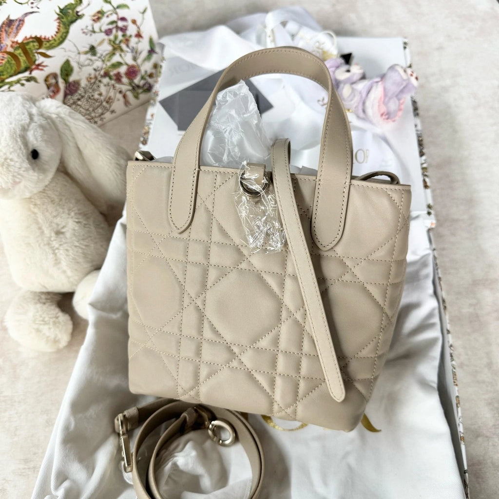 New Dior Calfskin Toujours Vertical Small Shoulder Bag For Women