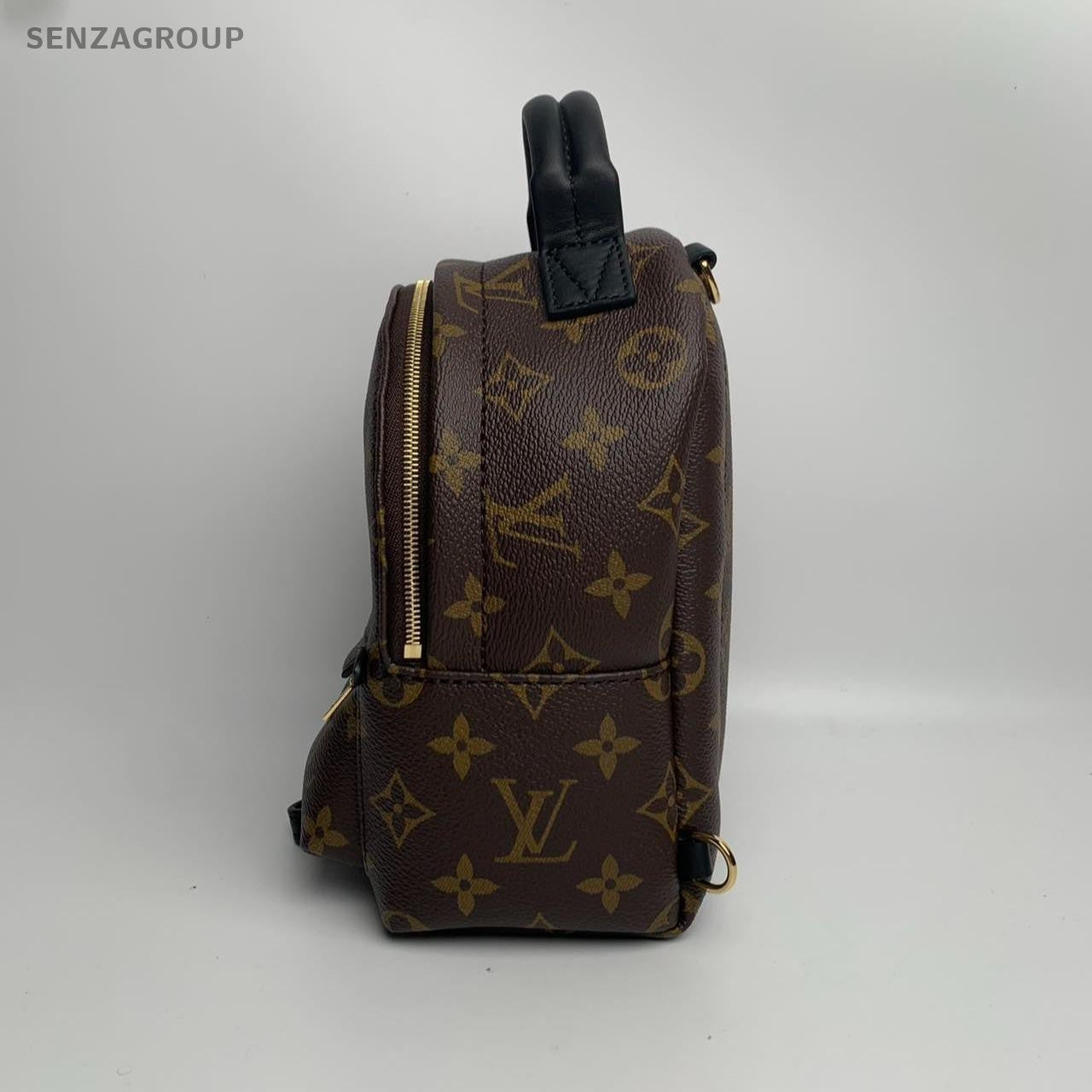SJ0001 LV palm Spring mini backpack
