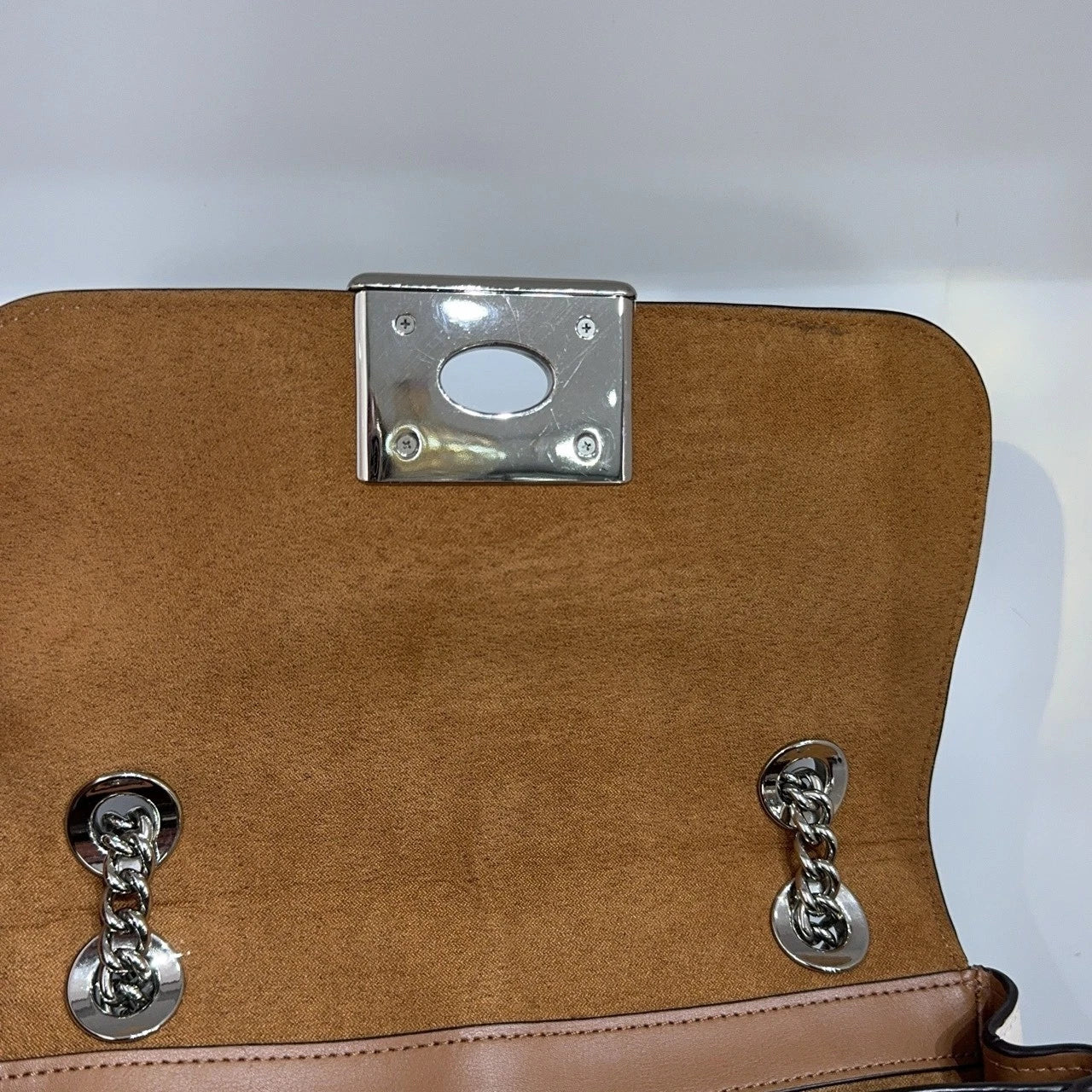 Coach 2019 Limited Lizard Pattern Chain Shoulder Crossbody Bag For Women