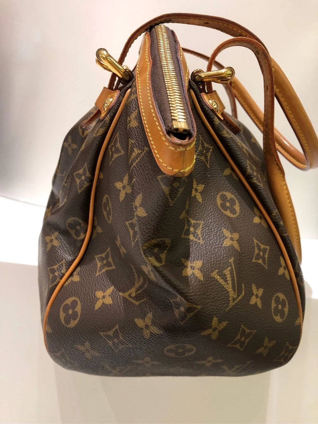 Louis Vuitton Canvas Dumpling Shoulder Bag For Women