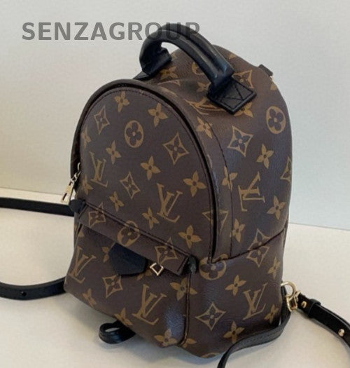 Louis Vuitton Palm Springs Monogram Mini Backpack Shoulder Bag Brown Women