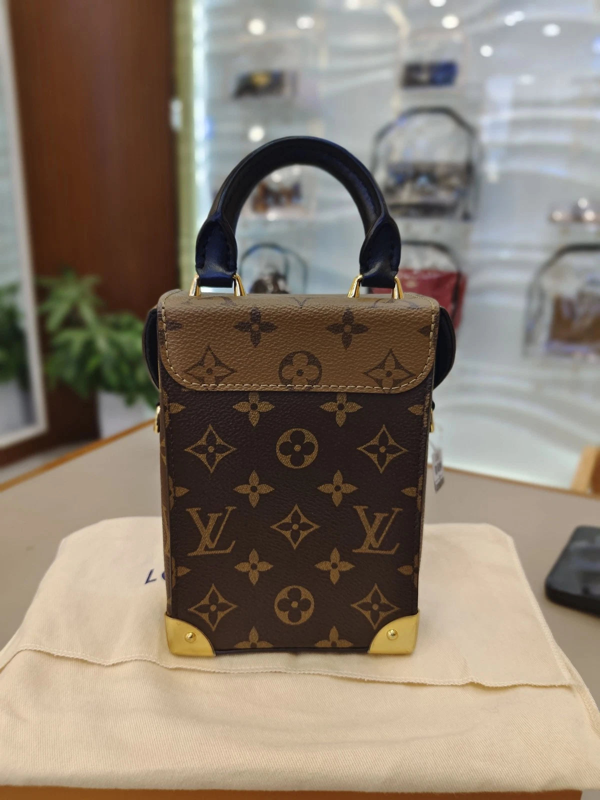 Louis Vuitton Monogram Canvas Camera Box Handbag For Women
