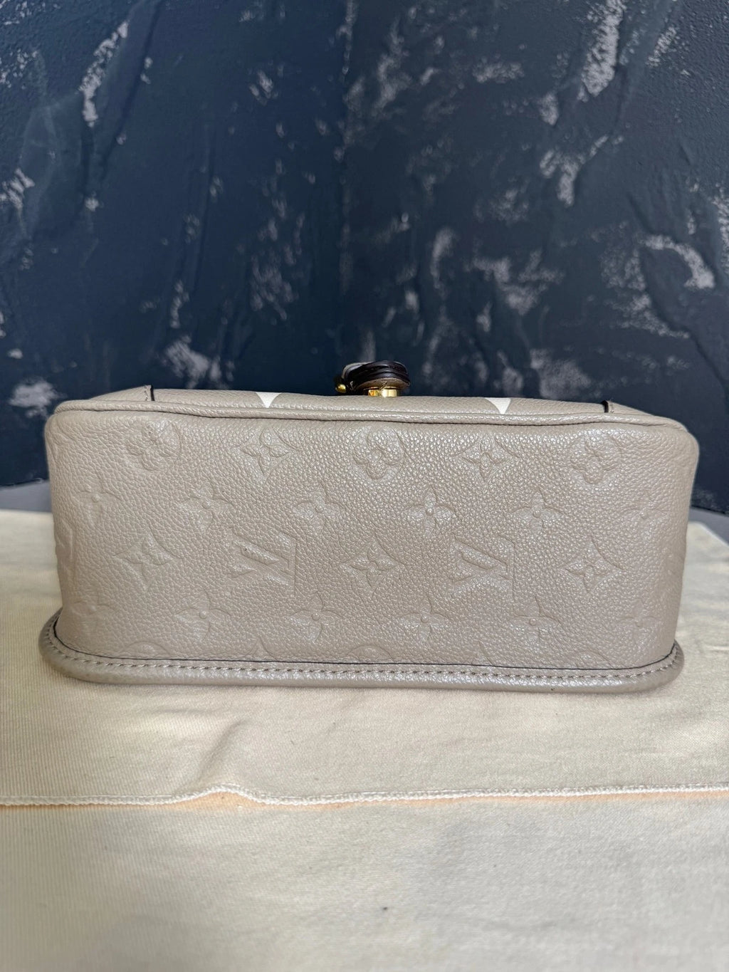 Louis Vuitton Diane Gray Leather Shoulder Bag For Women