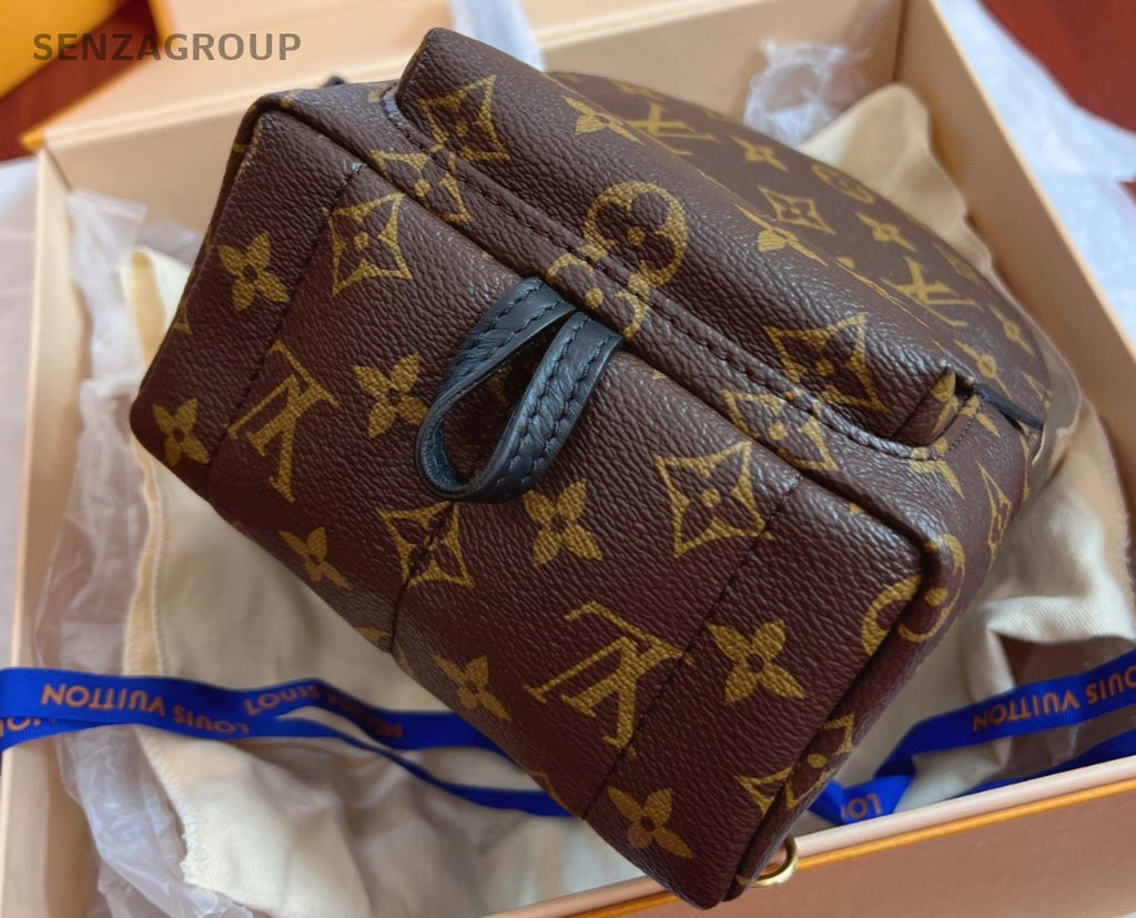 Louis Vuitton Palm Springs Backpack Shoulder bag Brown Brand NEW Women