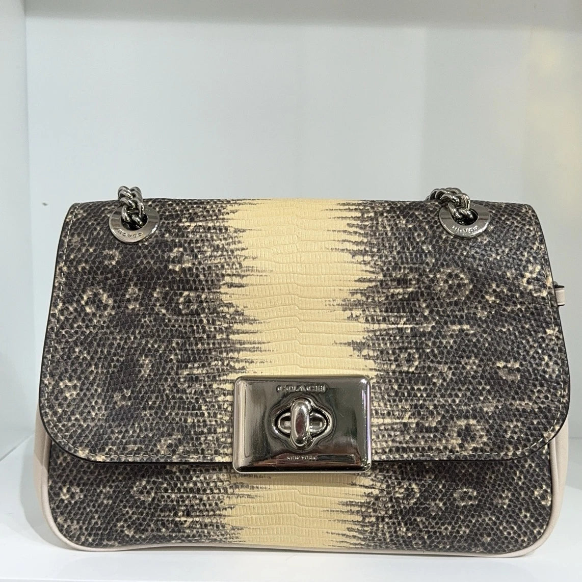 Coach 2019 Limited Lizard Pattern Chain Shoulder Crossbody Bag For Women