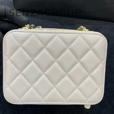 Chanel Grey Gold Hardware Trendy CC Camera Bag Chain Crossbody Women's Fashion