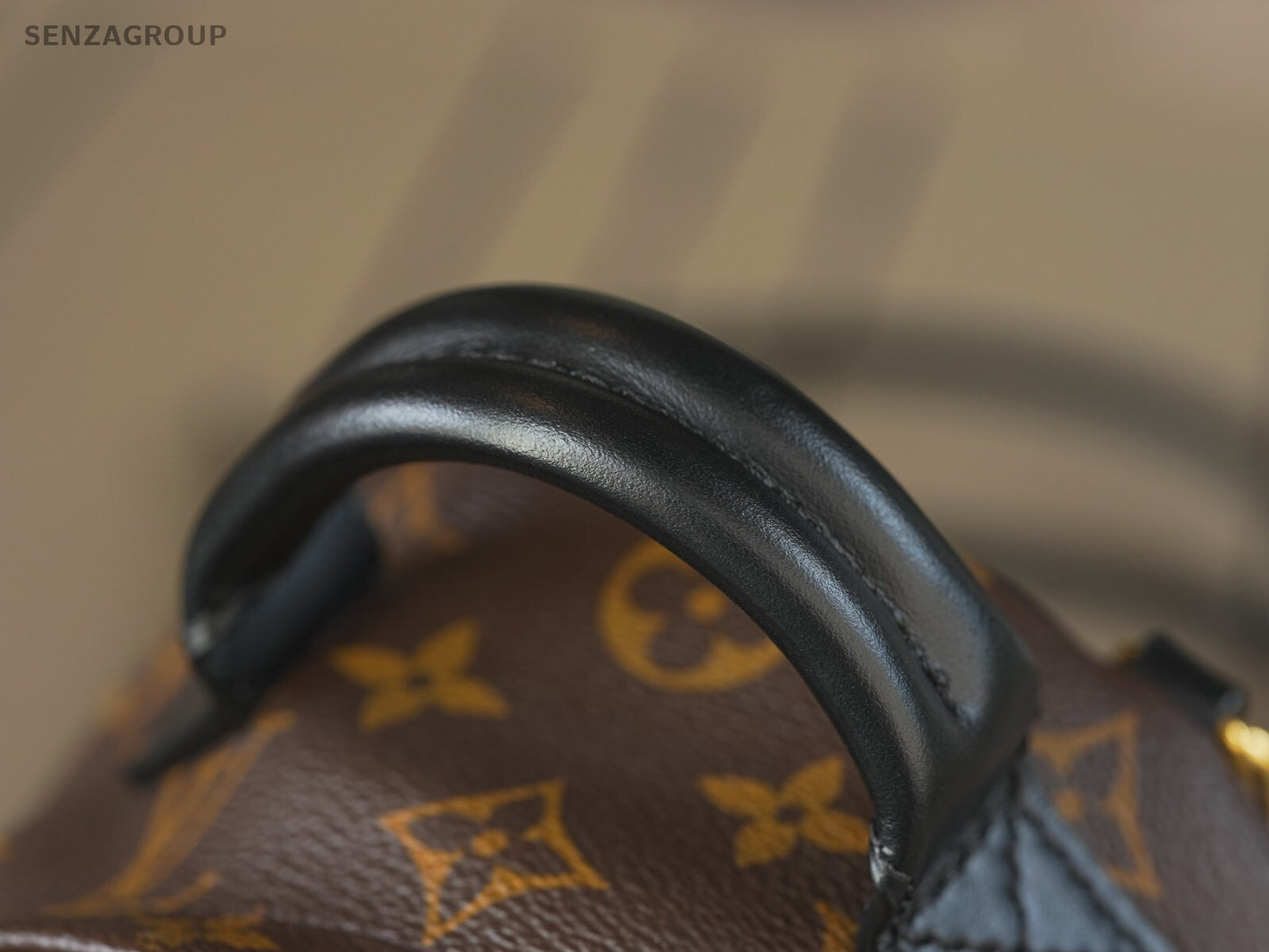 Louis Vuitton Palm Springs Backpack Mini  Canvas M44873