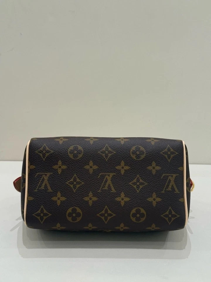 Louis Vuitton Speedy20 Canvas Shoulder Bag Top Handle Bag For Women