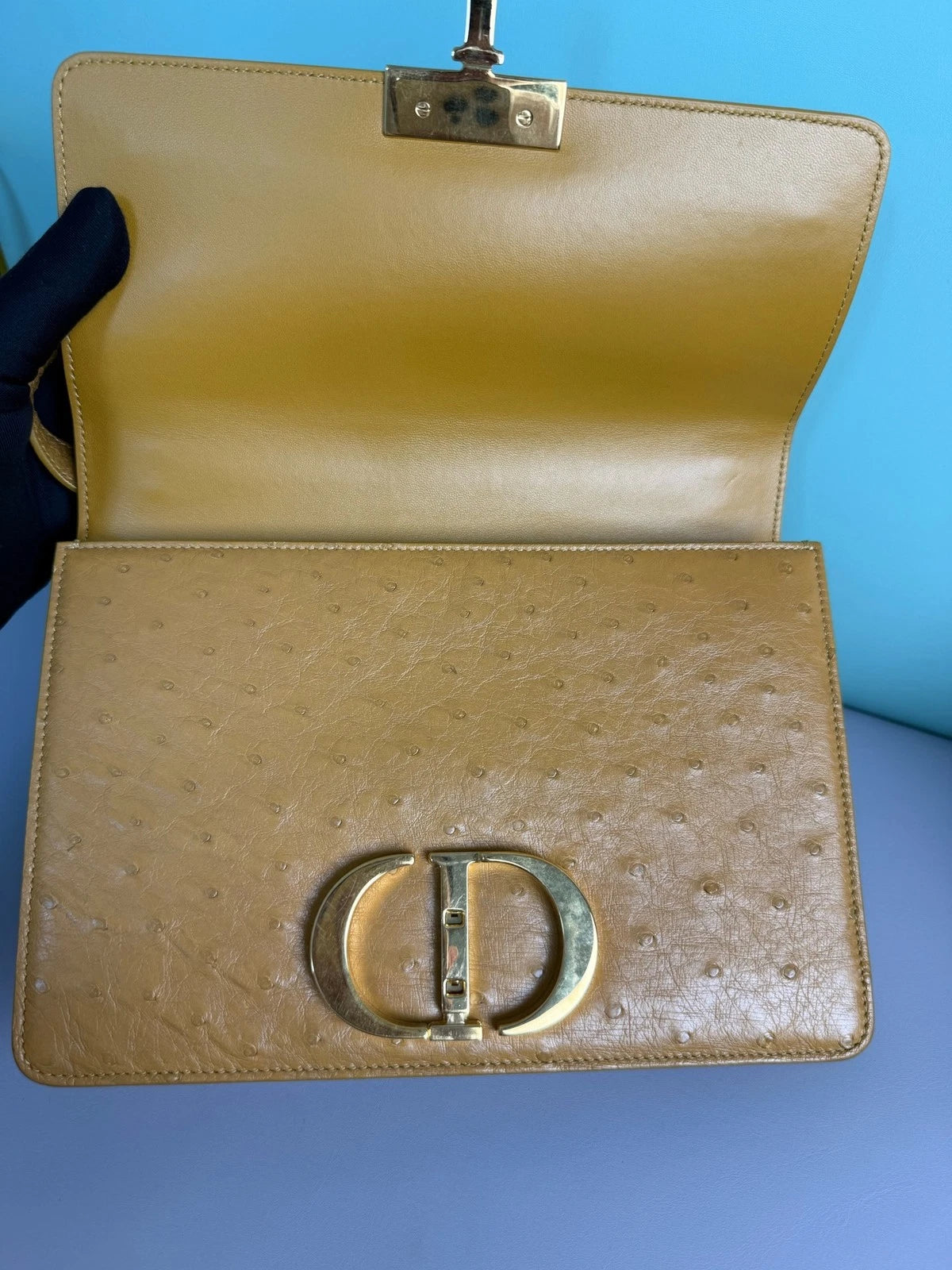 Dior Montaigne30 Ostrich Leather Top Handle Bag For Women