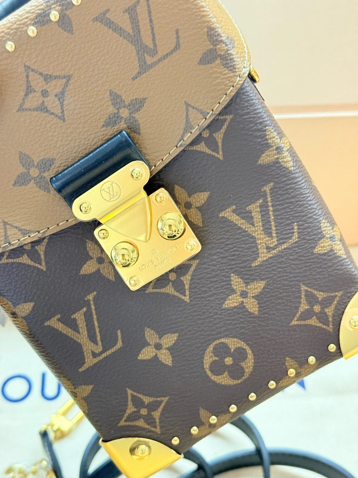 Louis Vuitton Leather Camera Box Crossbody Bag For Women