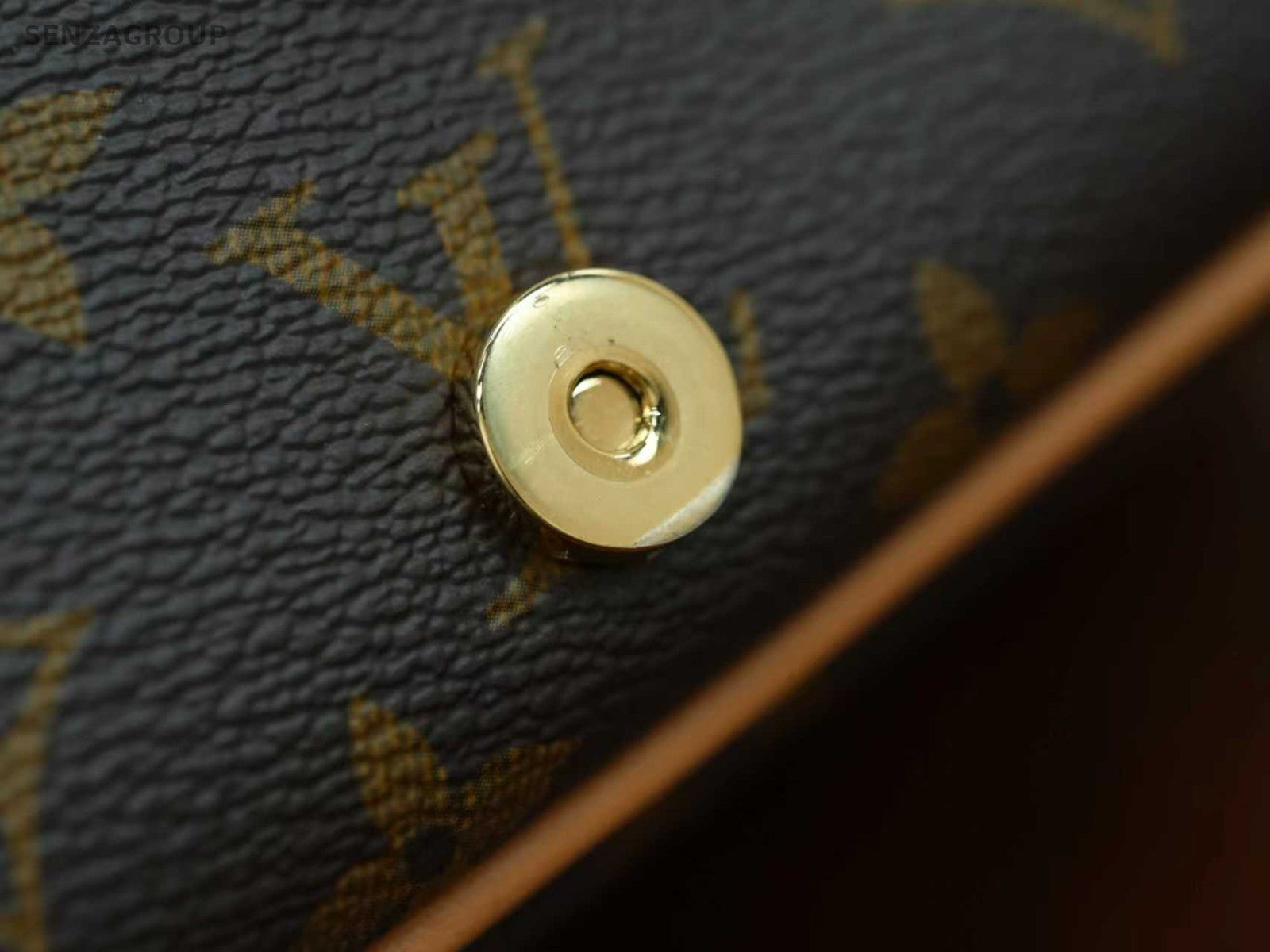 Louis Vuitton Diane Monogram Shoulder Bag Crossbody Brown Gold Women