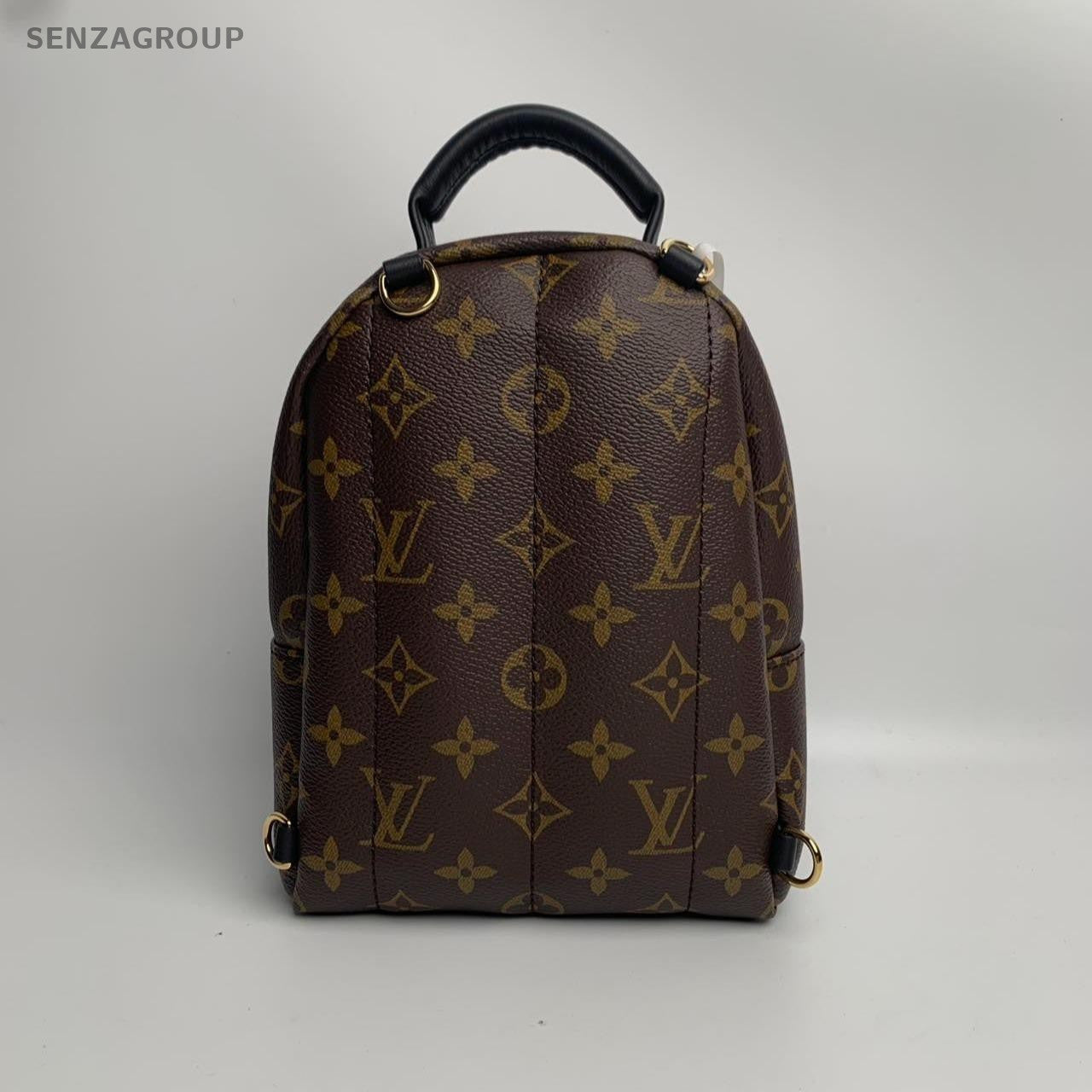SJ0001 LV palm Spring mini backpack
