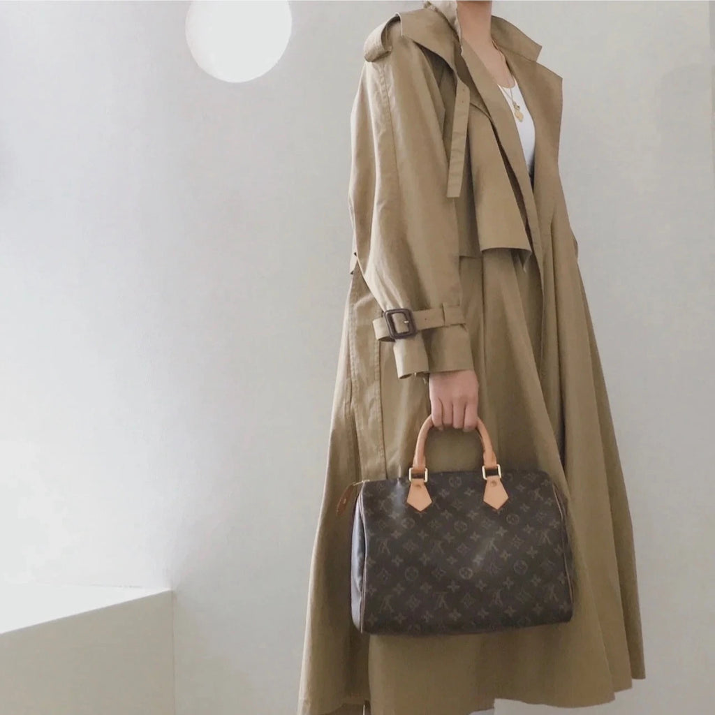 Excellent Louis Vuitton Speedy30 Monogram Canvas Handbag Gold Hardware No Strap