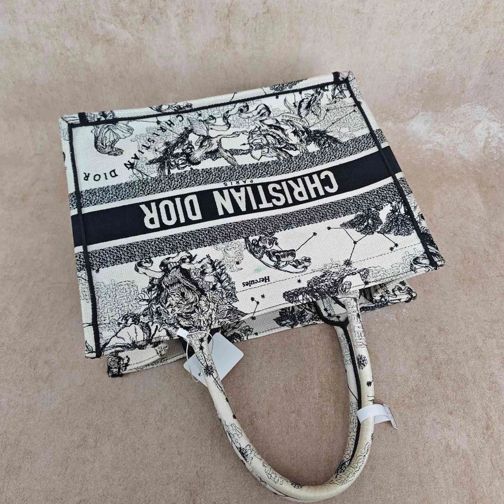 Dior Embroidered Constellation Medium Canvas Tote Handbag For Women