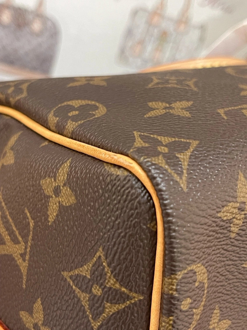 Louis Vuitton Speedy25 Canvas Shoulder Handbag For Women
