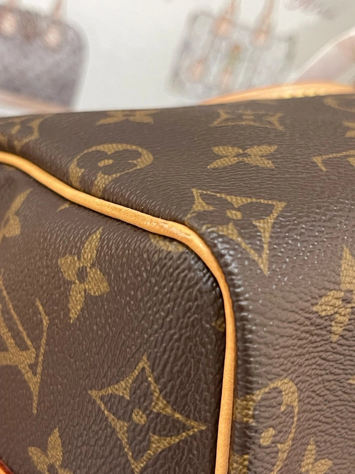 Louis Vuitton Speedy25 Canvas Shoulder Handbag For Women