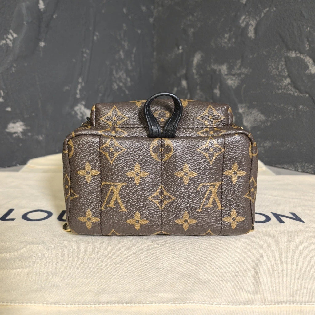 Louis Vuitton Canvas Mini Backpack for Women