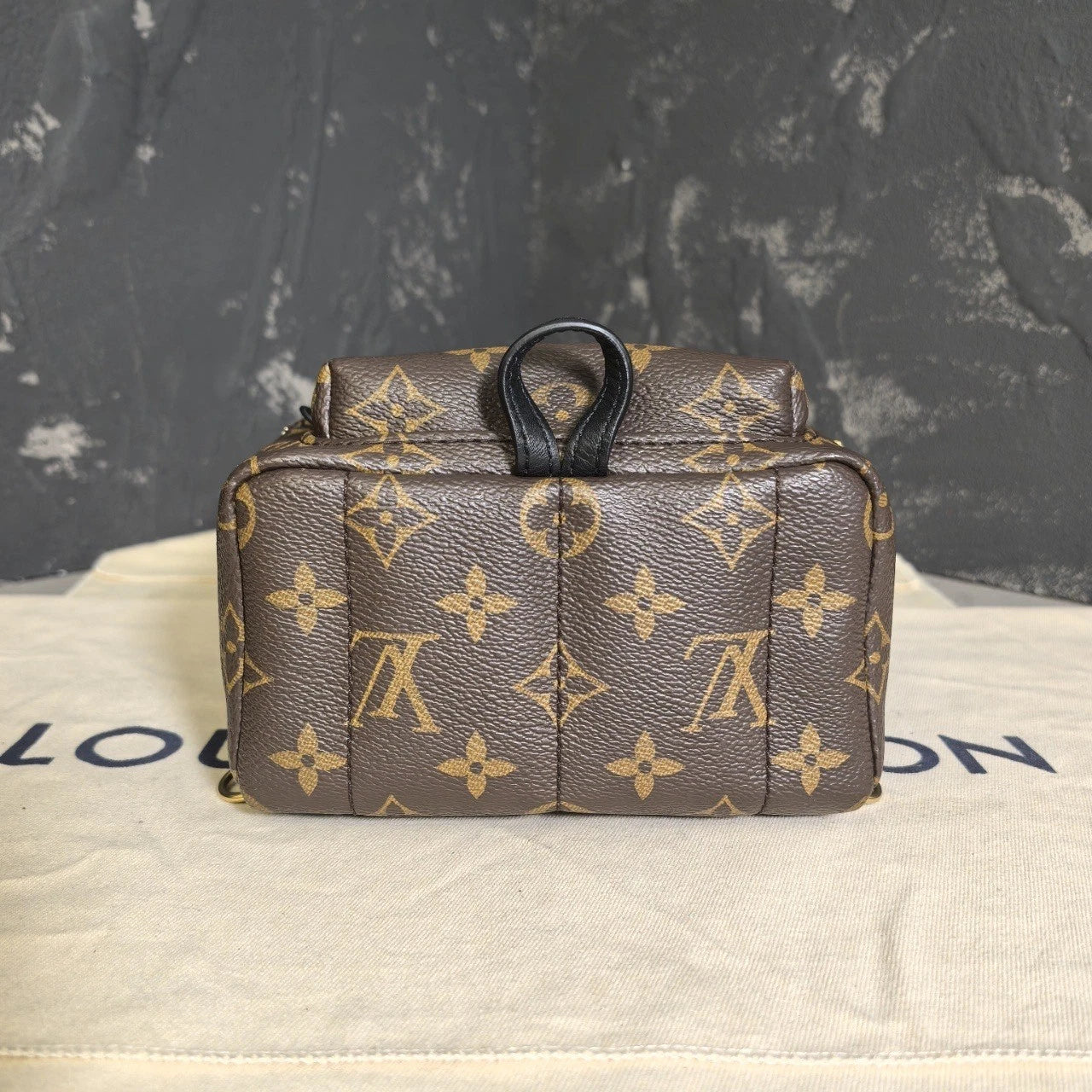 Louis Vuitton Canvas Mini Backpack for Women