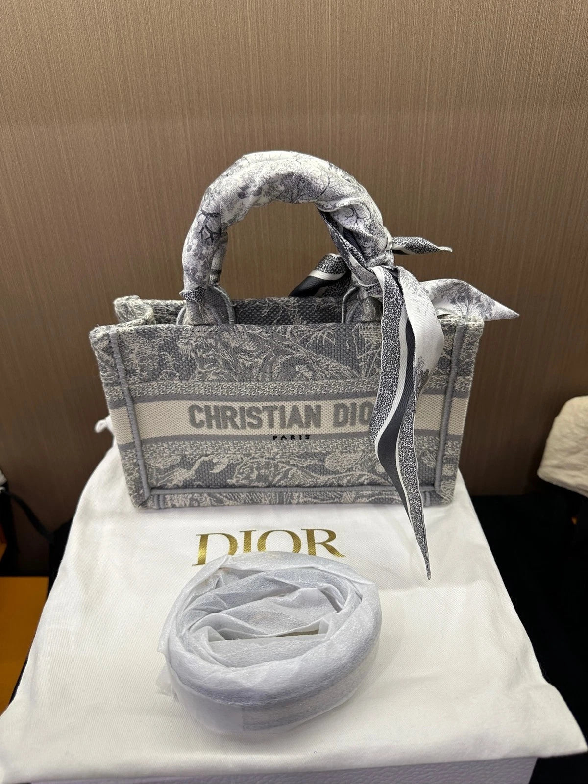 New Canvas Dior Mini Book Tote Bag For Women