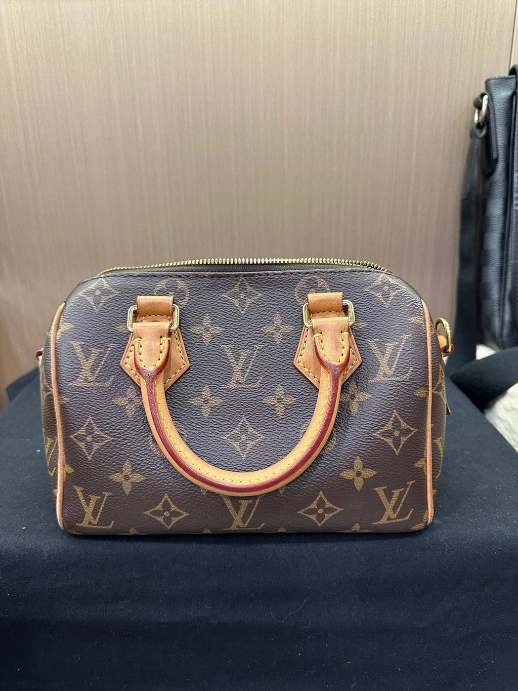 Louis Vuitton Speedy 20 Canvas Crossbody Bag For Women