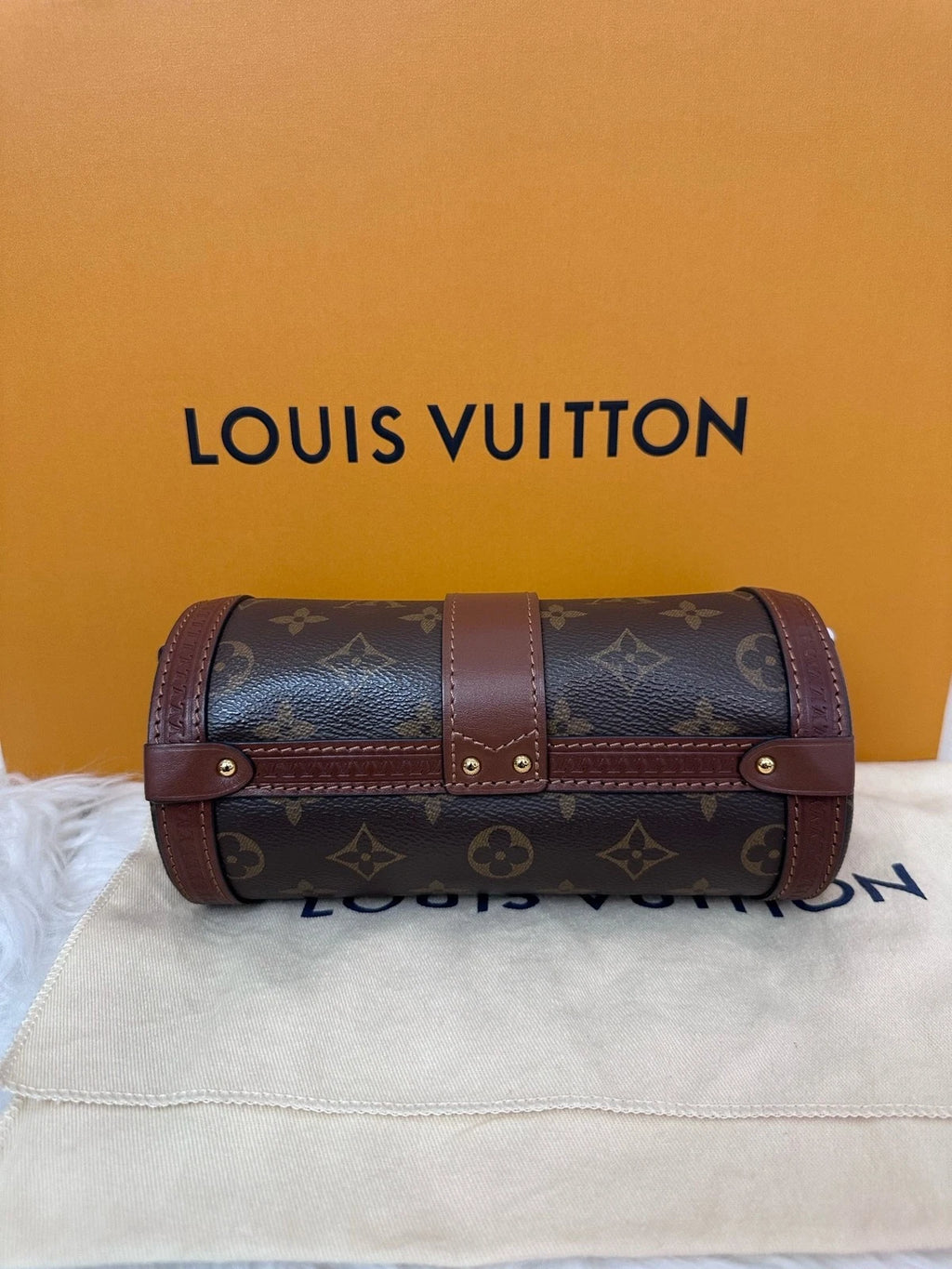 Louis Vuitton Papillon Cylinder Canvas Shoulder Crossbody For Women